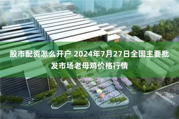 股市配资怎么开户 2024年7月27日全国主要批发市场老母鸡价格行情