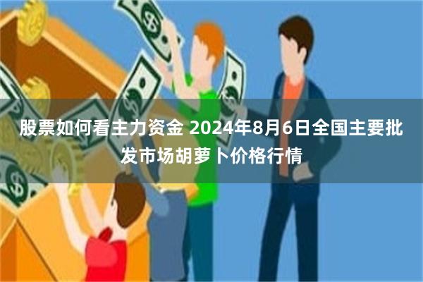 股票如何看主力资金 2024年8月6日全国主要批发市场胡萝卜价格行情