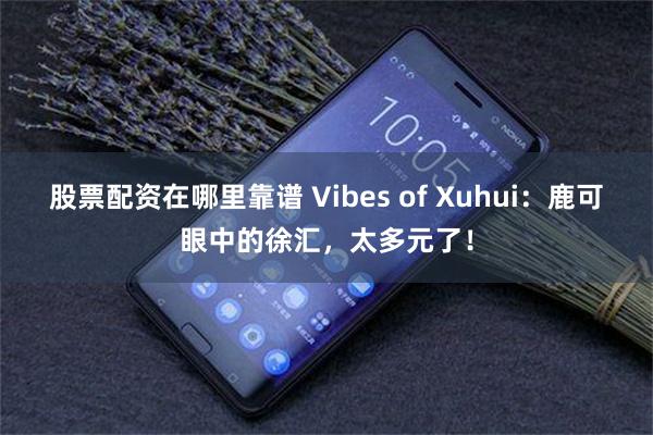 股票配资在哪里靠谱 Vibes of Xuhui：鹿可眼中的徐汇，太多元了！