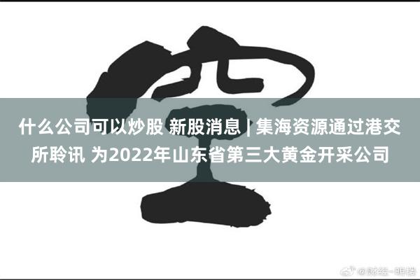 什么公司可以炒股 新股消息 | 集海资源通过港交所聆讯 为2022年山东省第三大黄金开采公司