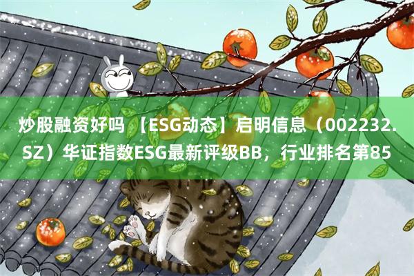 炒股融资好吗 【ESG动态】启明信息（002232.SZ）华证指数ESG最新评级BB，行业排名第85