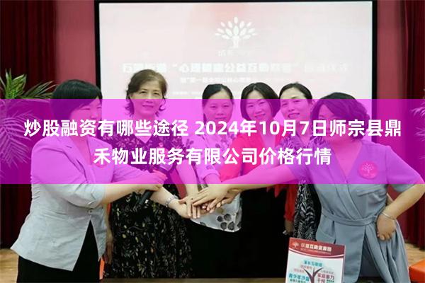 炒股融资有哪些途径 2024年10月7日师宗县鼎禾物业服务有限公司价格行情