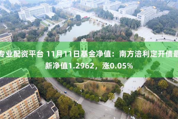 专业配资平台 11月11日基金净值：南方涪利定开债最新净值1.2962，涨0.05%