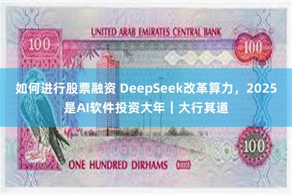 如何进行股票融资 DeepSeek改革算力，2025是AI软件投资大年｜大行其道