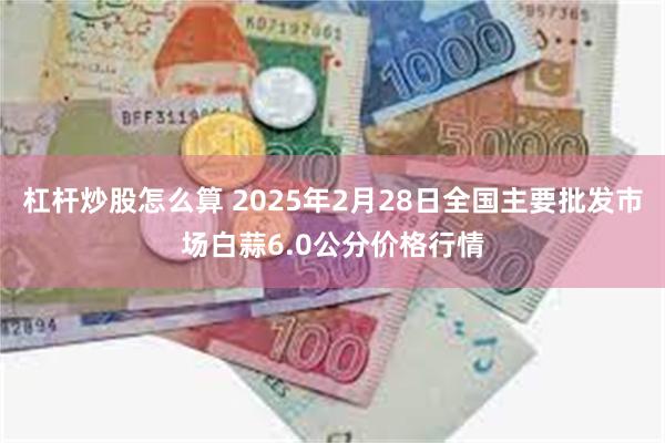 杠杆炒股怎么算 2025年2月28日全国主要批发市场白蒜6.0公分价格行情